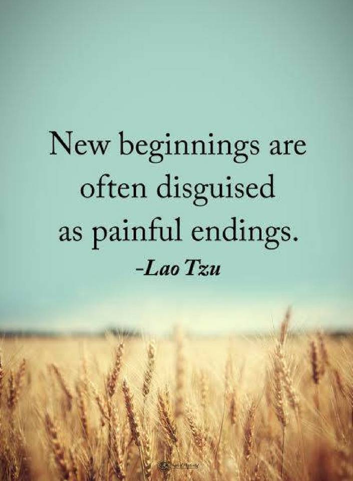 new beginnings are often disguised new beginnings are often disguised
